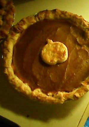 A picture of Thanksgiving Pumkin Pie ;).