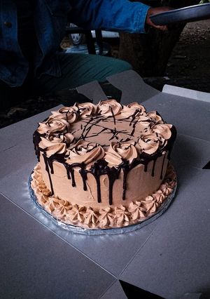 A picture of Banana Chocolate Chip Cake #themechallenge.