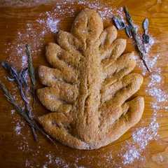 Foglia di focaccia semintegrale con licoli-レシピのメイン写真
