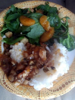 A picture of Easy Orange Chicken.