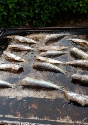 Une photo de Sardines au citron