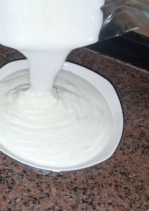 A picture of Toumeya (Garlic Yogurt Sauce).