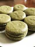 Matcha Macarons