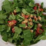 Rocca salad 🥗