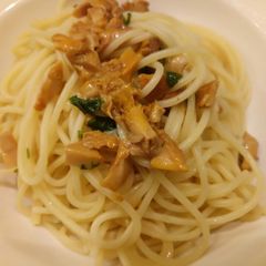 A picture of Spaghetti con i finferli spaghetti with chanterelle mushrooms.
