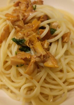 A picture of Spaghetti con i finferli spaghetti with chanterelle mushrooms.