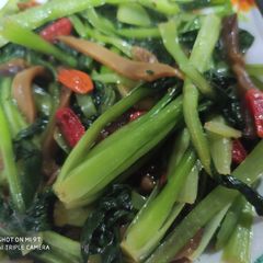Stir fry green vegetable A picture of Stir fry green vegetable.