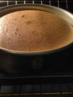Light Cheese Cake-輕乳酪蛋糕♥!!! 的食譜成品照片