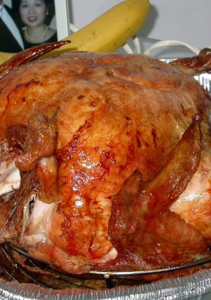 A picture of Turkey dinner.