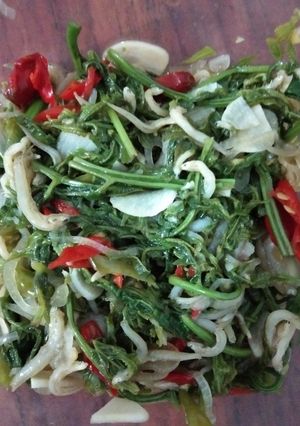 Foto resep Tumis Pakis Maknyuss