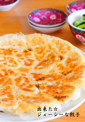 A picture of Juicy Gyoza.