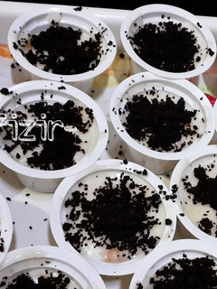 Foto resep Puding cheese cake oreo