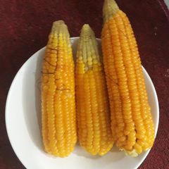 A picture of Yellow corn.