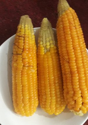 A picture of Yellow corn.