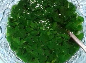 Foto resep Jangan kelor banyuwangi (perontok susuk) haha 😂