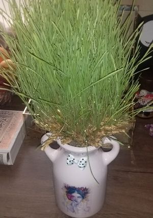 عکسی از دستور سبزه با خوشه گندم(۱۴۰۰)