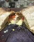 Calzone caprese