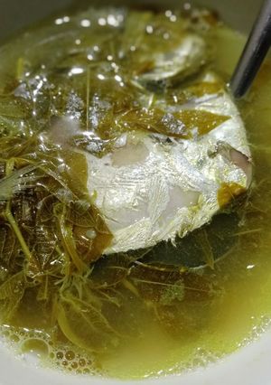 Hình của món Lá cóc nấu canh cá bánh lái.