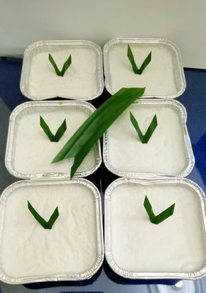 Foto resep Lumpur Surga Pandan