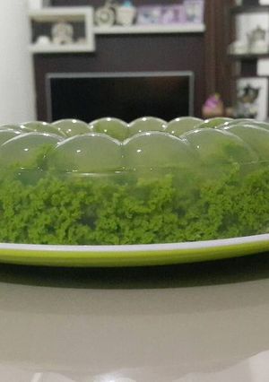 Foto resep Puding lumut mudah