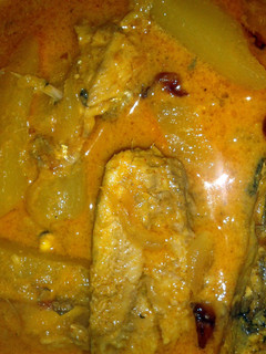 A picture of Fish and Raw Mango curry in Coconut based gravy.