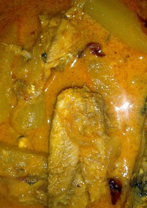 A picture of Fish and Raw Mango curry in Coconut based gravy.