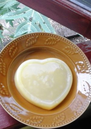 Foto resep Mpasi 9+ puding jeruk