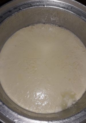 عکسی از دستور ماست خونگی پرچرب