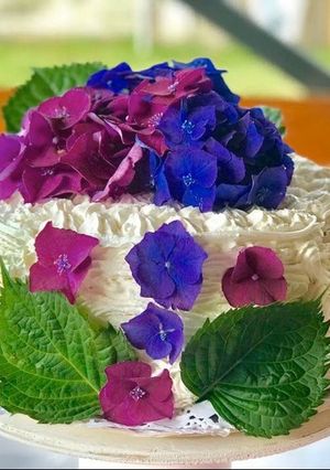 Una foto de Torta de arándanos - manjar