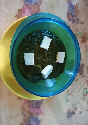 પાલક પનીર (Palak Paneer Recipe in Gujarati) રેસીપી મુખ્ય ફોટો