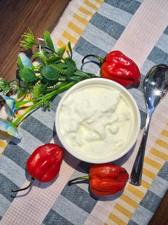 عکسی از دستور ماست خونگی با زودپز برقی