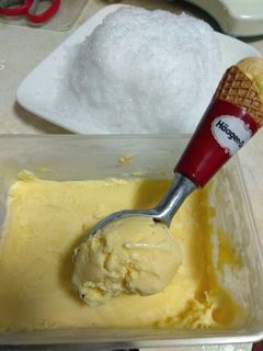 芒果煉乳冰淇淋 的食譜成品照片