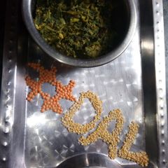 A picture of Shaak bhaji (spinach dal tadka).