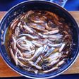 Anchoas (bocartes) en cazuela