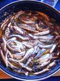 Anchoas (bocartes) en cazuela