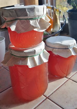 Birs zselé recept fotója