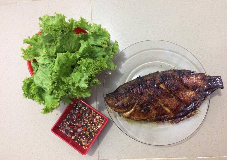 Resep Ikan gurame bakar kecap oleh Restorika Cookpad