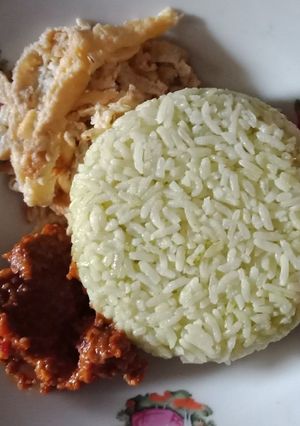 Foto resep Nasi gurih ijo pake magic com