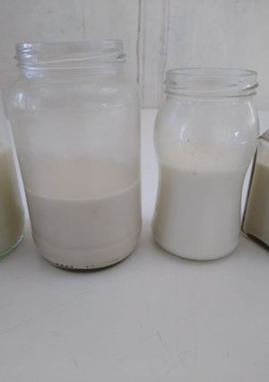 Una foto de Leches Veganas