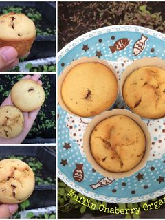 Hình của món Muffin nam việt quất hữu cơ.