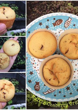 Hình của món Muffin nam việt quất hữu cơ.