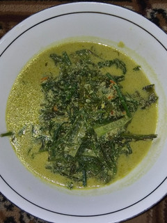 Foto resep 24. Sayur Pakis Santan
