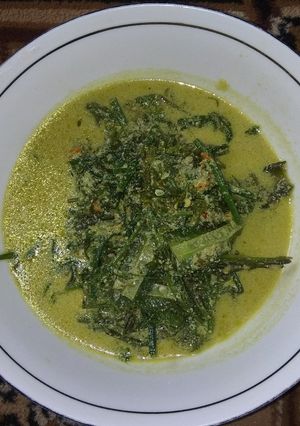 Foto resep 24. Sayur Pakis Santan