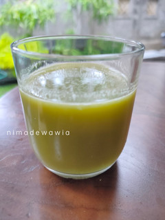 Foto resep Jus Sehat - Apel Seledri