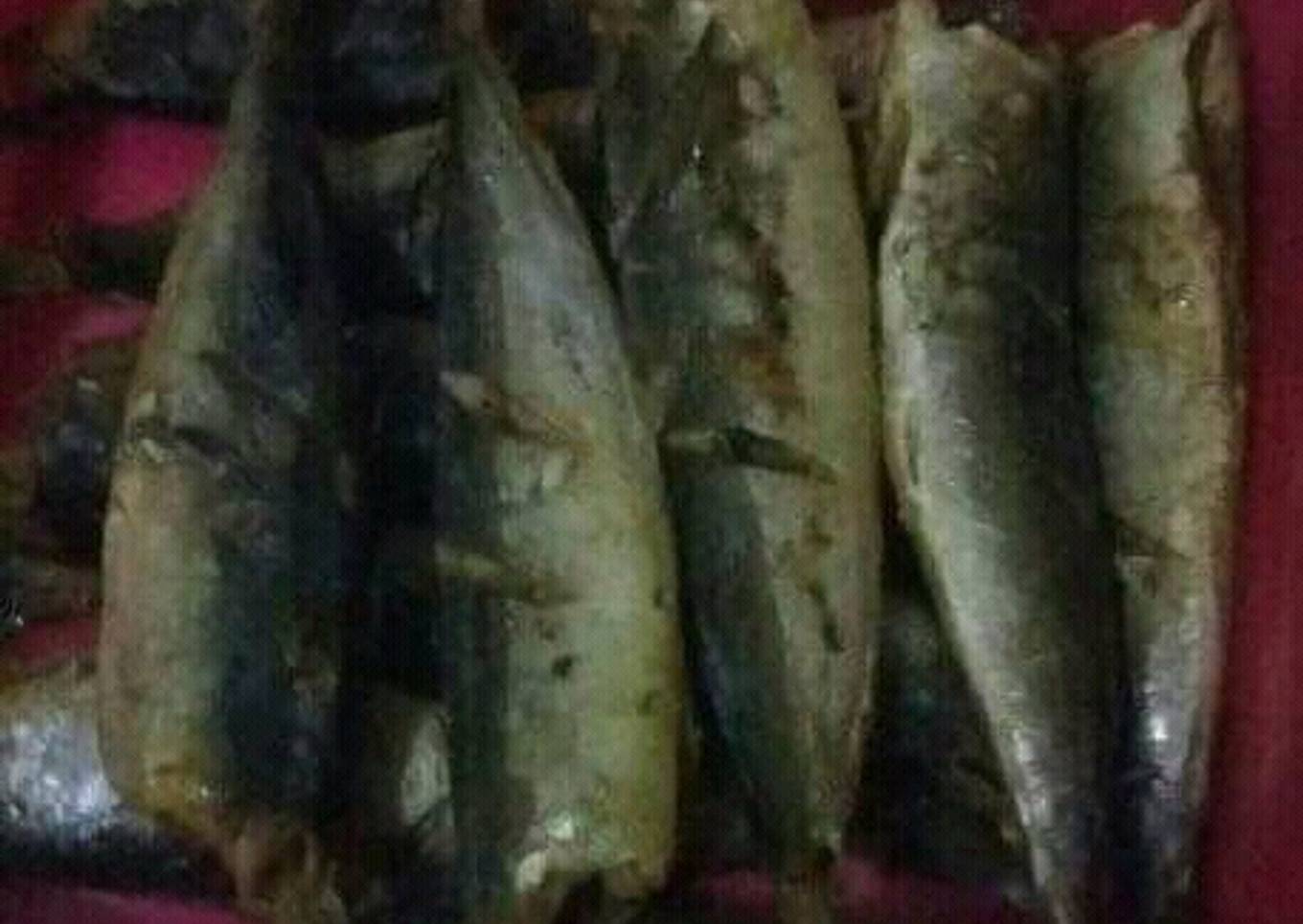 Cuwe Ikan Layang