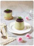 Puding Srikaya Matcha Kelapa Muda Tape Ketan Hitam