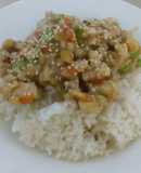 Pollo estilo kung pao
