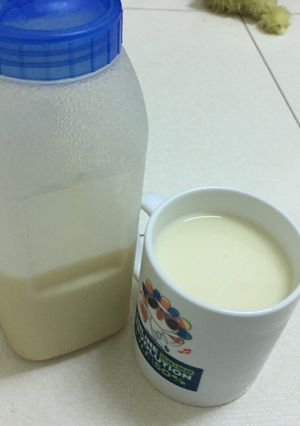 Hình của món Sữa đậu xanh.