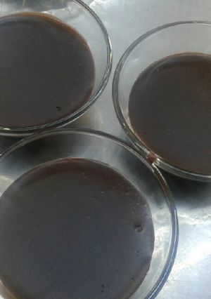 عکسی از دستور پودینگ کاکائویی