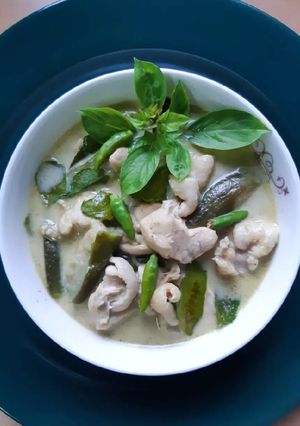 รูปของ แกงเขียวหวานไก่ใส่มะเขือยาว